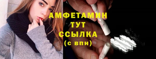 прущие грибы Абинск