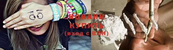 прущие грибы Абинск