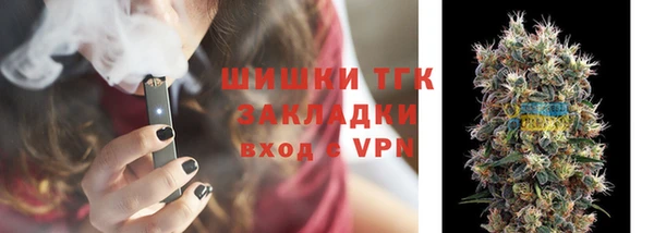прущие грибы Абинск