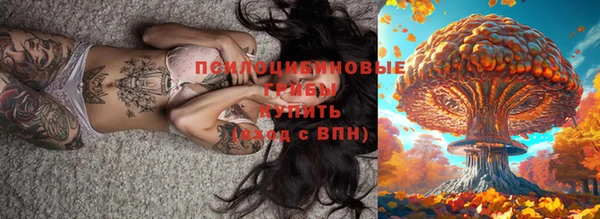 мдпв Абаза