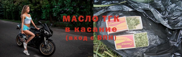 прущие грибы Абинск