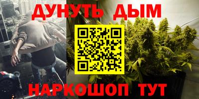 индика Бийск