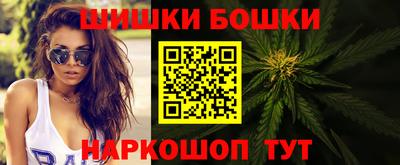 индика Бийск