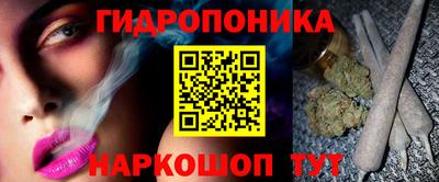 индика Бийск