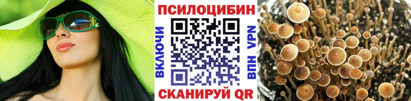 KRAKEN ONION  хочу наркоту  Дербент  Псилоцибиновые грибы Cubensis 