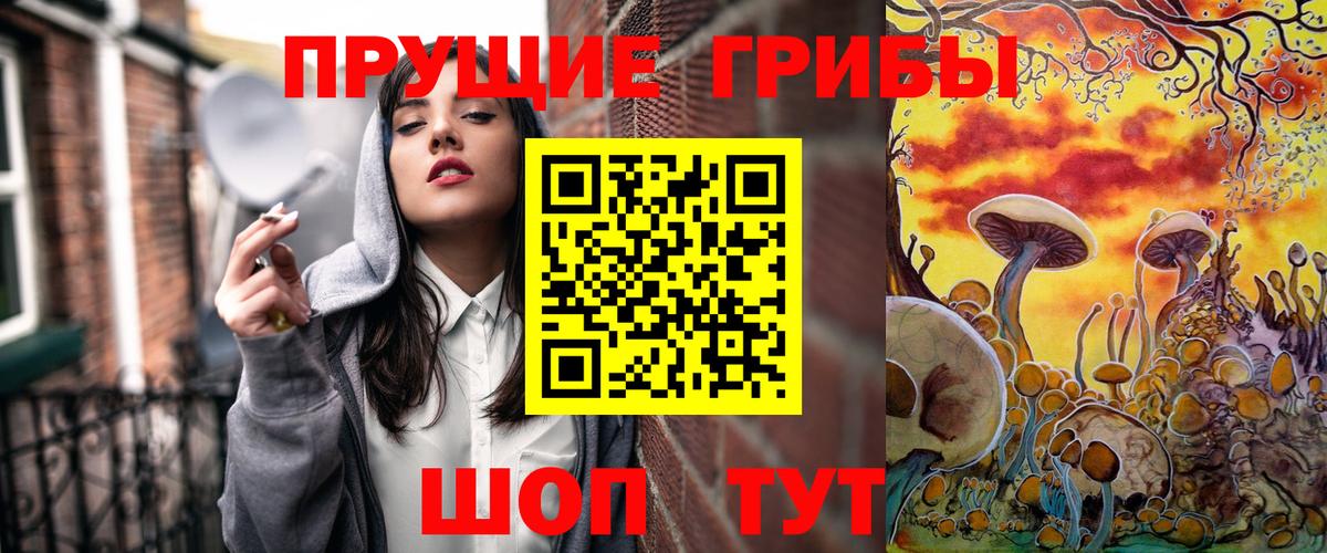 Галлюциногенные грибы MAGIC MUSHROOMS  Вход с VPN  Дербент 